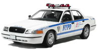 click here to go to the NYPD image gallery